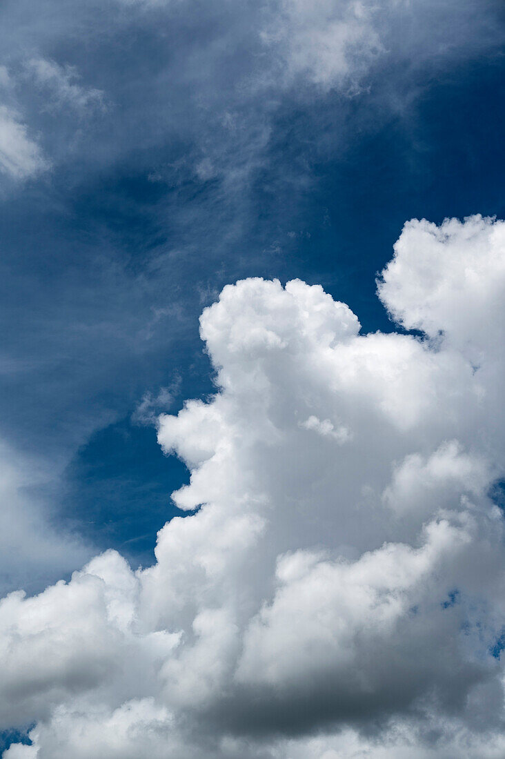 Sky with cumulus clouds