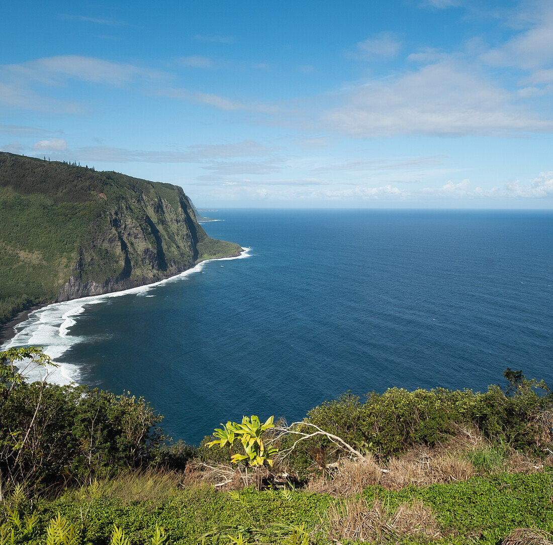 USA, Hawaii, Big Island, Wai Pio, schwarzer Sandstrand mit Klippen