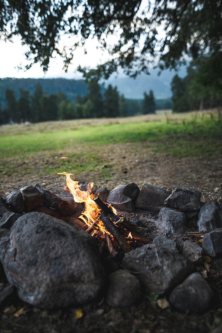 Russia, Caucasus mountains, Bonfire under tree