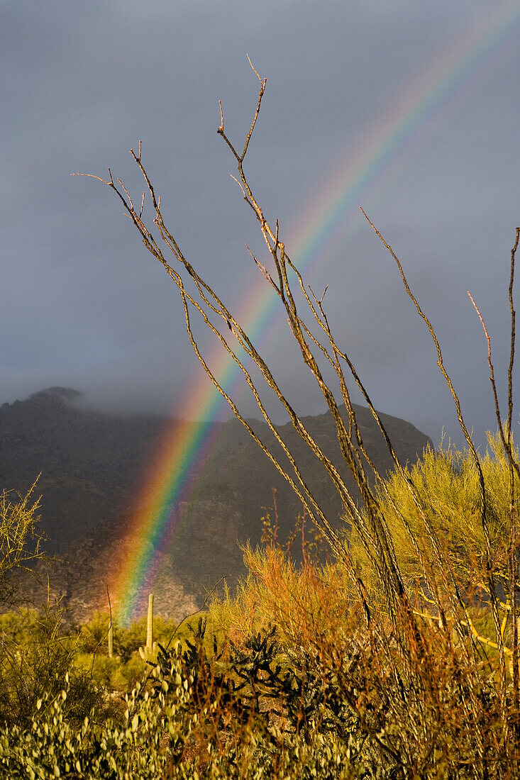 USA, Arizona, Tucson, Regenbogen in Landschaft mit Bergen im Hintergrund