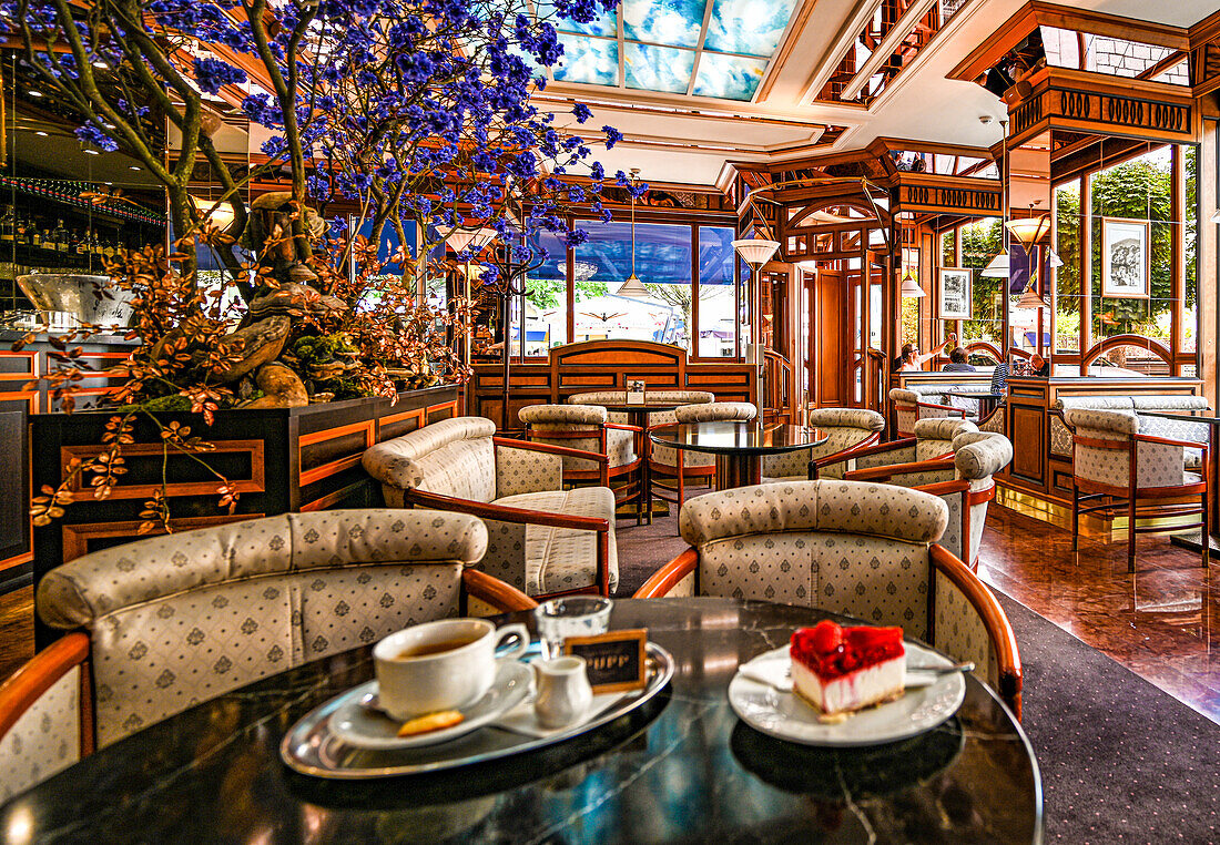 Coffee and cake in the cafe of the Grandhotel Pupp, Karlovy Vary, Karlovy Vary, Czech Republic