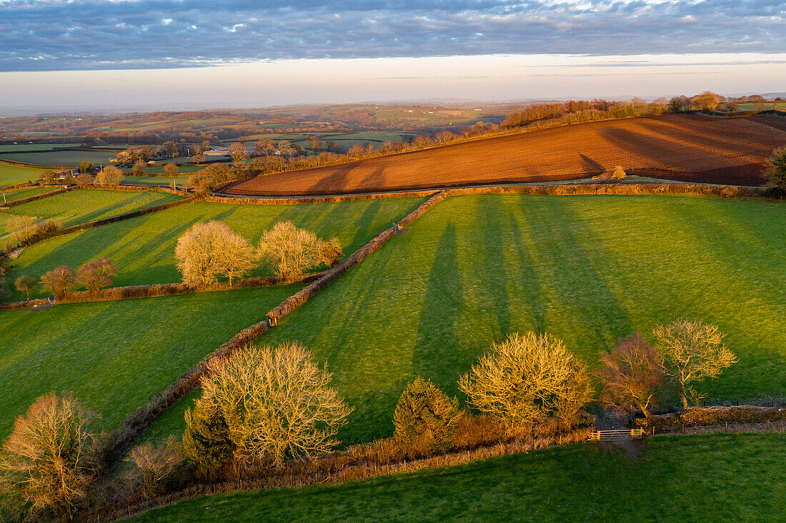 Luftaufnahme der Landschaft von Dartmoor in der reichen Abendsonne im Frühling, Livaton, Devon, England, Vereinigtes Königreich, Europa