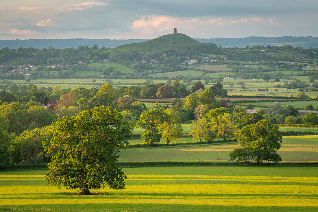 Ländliche Landschaft der Somerset Levels im Sommer in der Nähe von Glastonbury Tor, Somerset, England, Vereinigtes Königreich, Europa