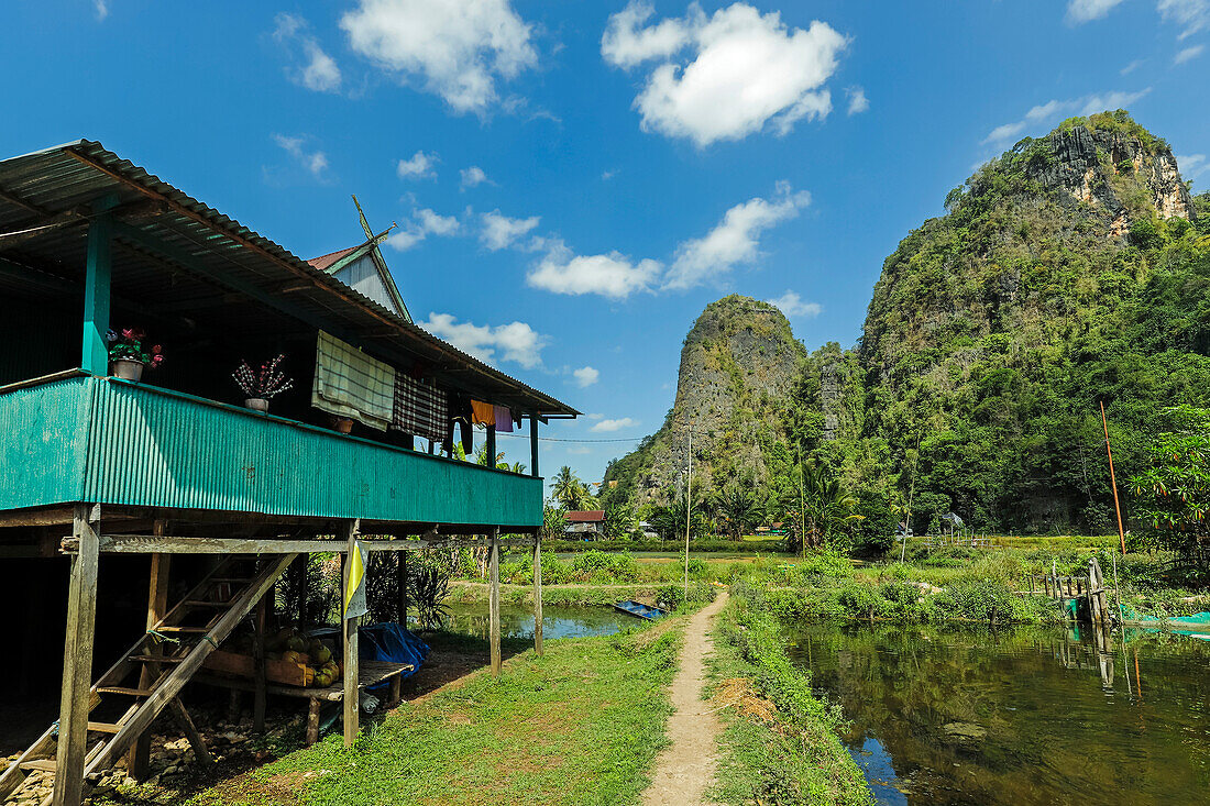 Stelzenhaus, Fischteich, Kalksteingipfel, Dorf Rammang, Karstgebiet, Rammang-Rammang, Maros, Süd-Sulawesi, Indonesien, Südostasien, Asien