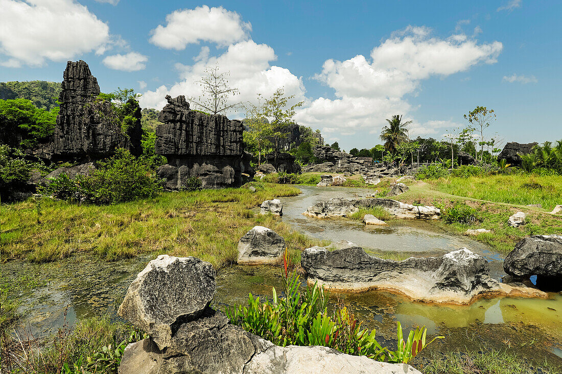 Zinc Clad Saddleback überdachte Tongkonan, megalithische Grabstätte Bori Kalimbuang, Bori, Rantepao, Toraja, Süd-Sulawesi, Indonesien, Südostasien, Asien
