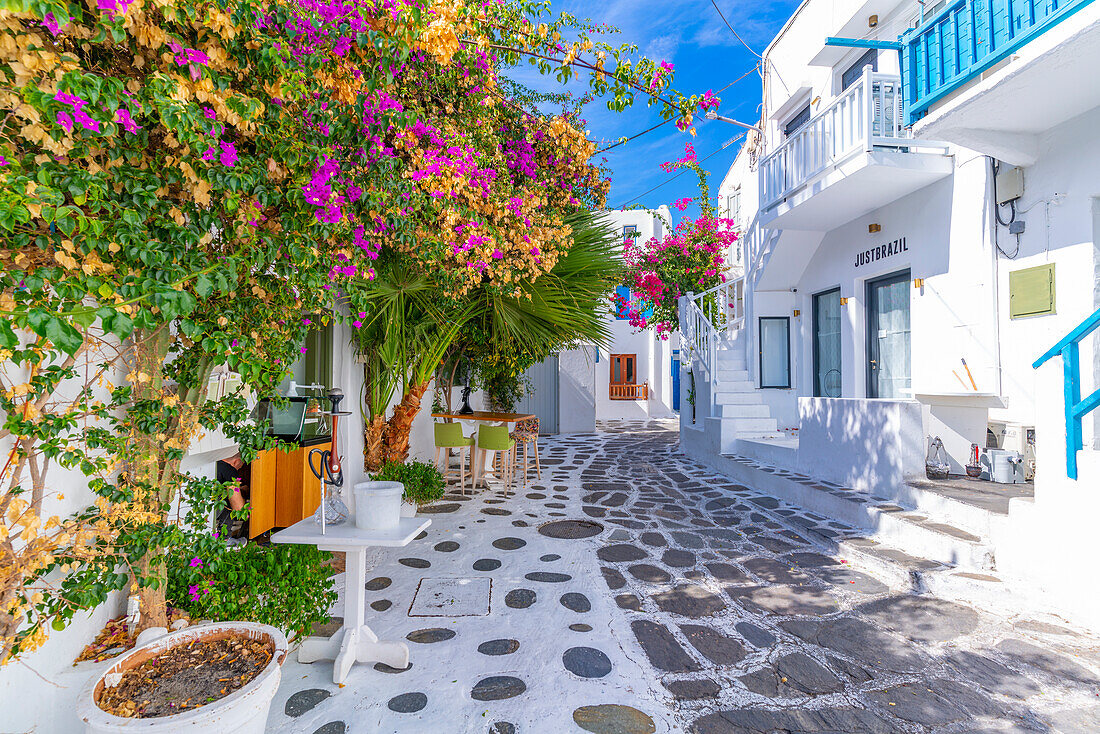 Blick auf weiß getünchte gepflasterte Straße, Mykonos-Stadt, Mykonos, Kykladen, griechische Inseln, Ägäis, Griechenland, Europa