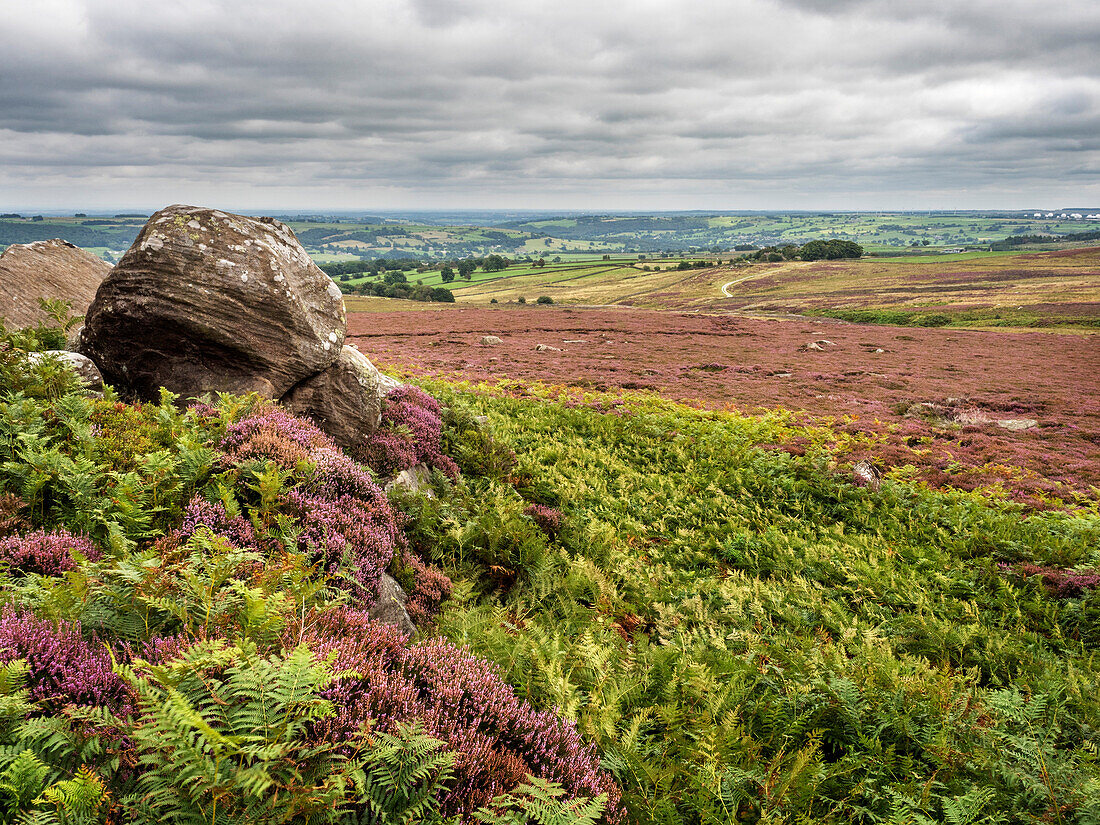 High Crag in der Nähe von Pateley Bridge in Nidderdale, Yorkshire, England, Vereinigtes Königreich, Europa