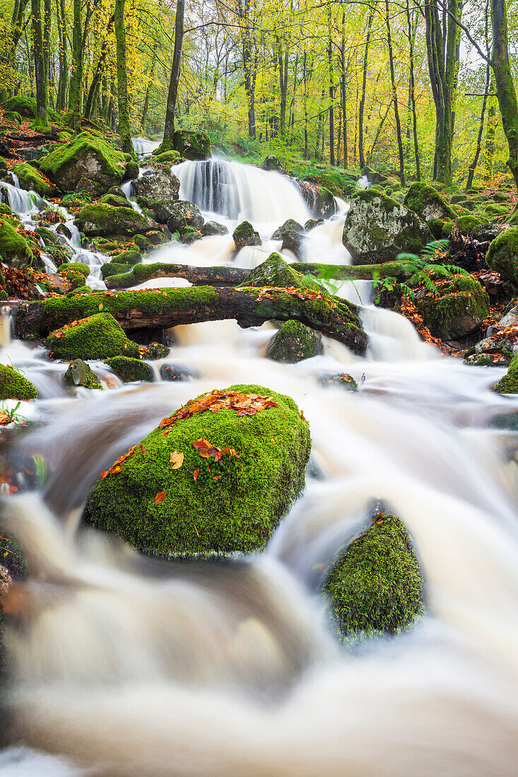 Wasserfall im herbstlichen Wald neben Loch Ken, Galloway Forest Park, Dumfries and Galloway, Schottland, Vereinigtes Königreich, Europa