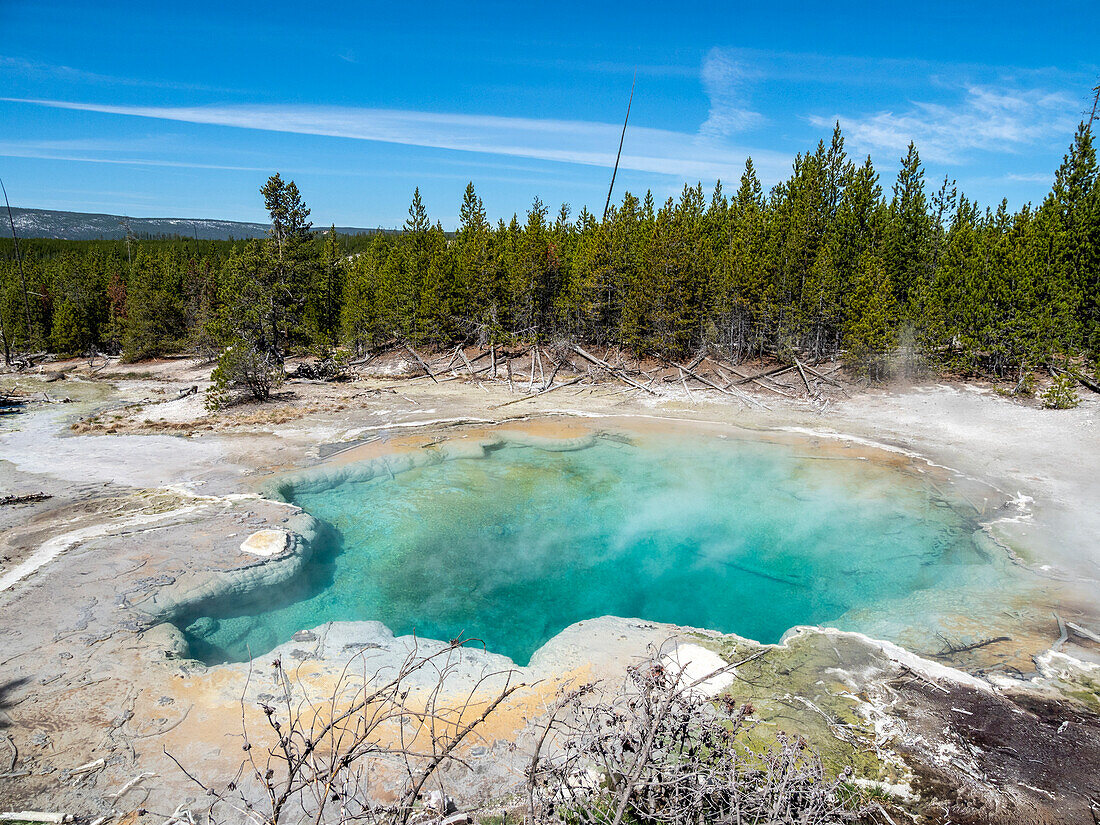 Emerald Spring im Norris Geyser Basin, Yellowstone National Park, UNESCO-Weltkulturerbe, Wyoming, Vereinigte Staaten von Amerika, Nordamerika