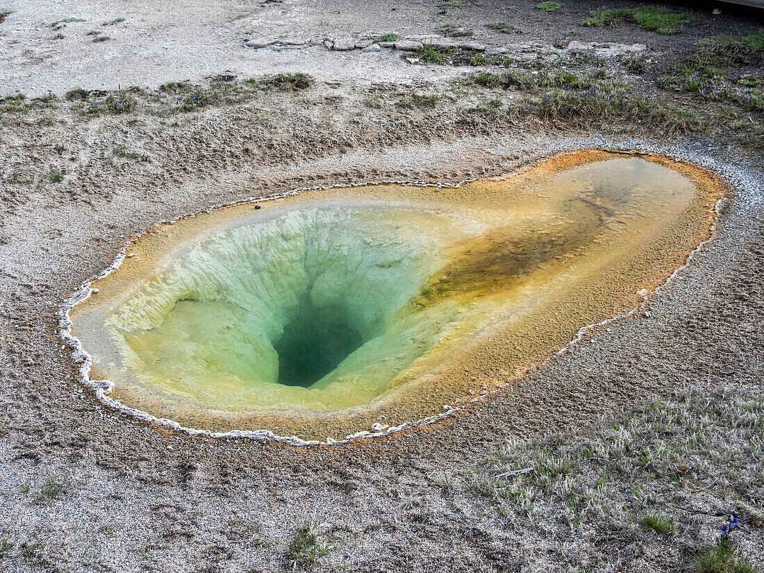 Belgian Pool, in the Norris Geyser Basin area, Yellowstone National Park, UNESCO World Heritage Site, Wyoming, United States of America, North America