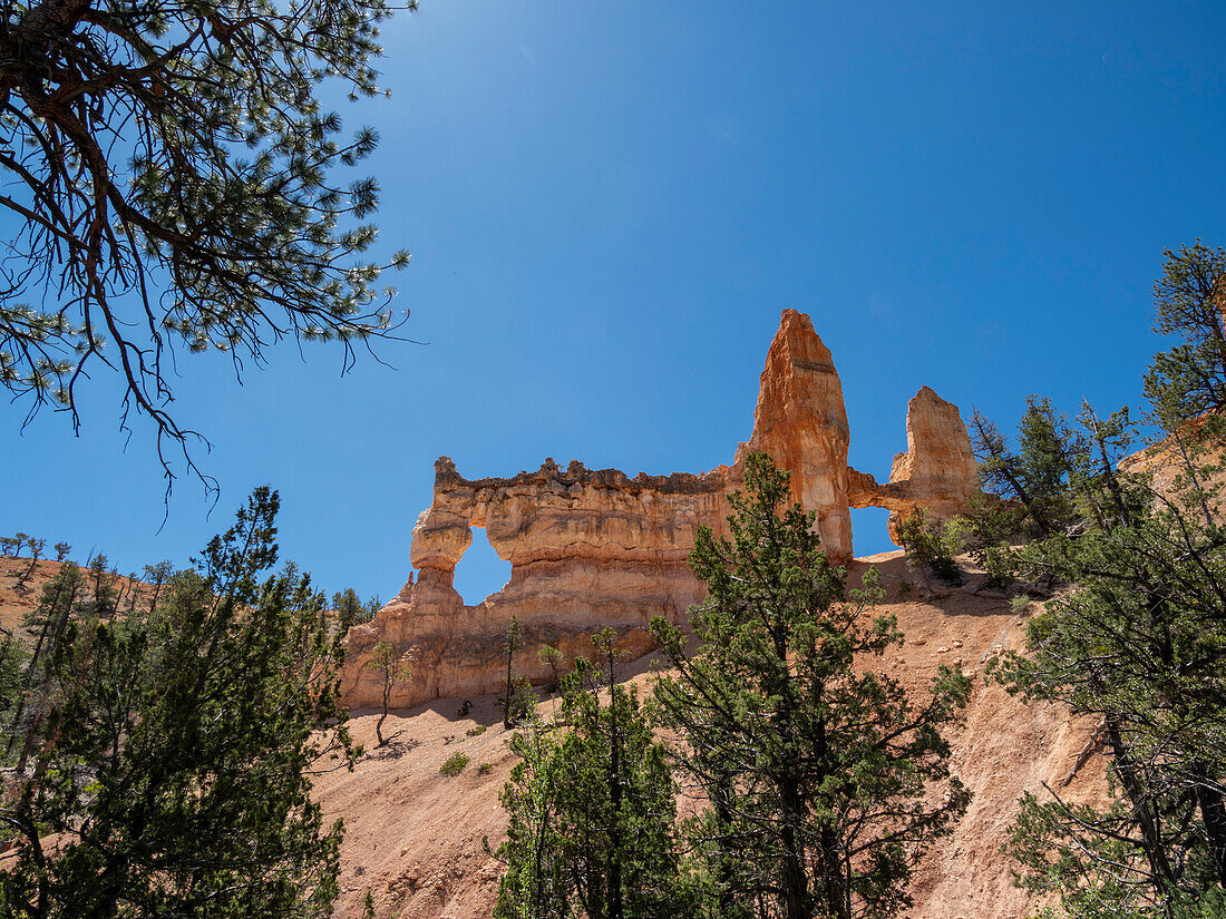 Ein Blick auf die Tower Bridge vom Fairyland Trail im Bryce Canyon National Park, Utah, Vereinigte Staaten von Amerika, Nordamerika