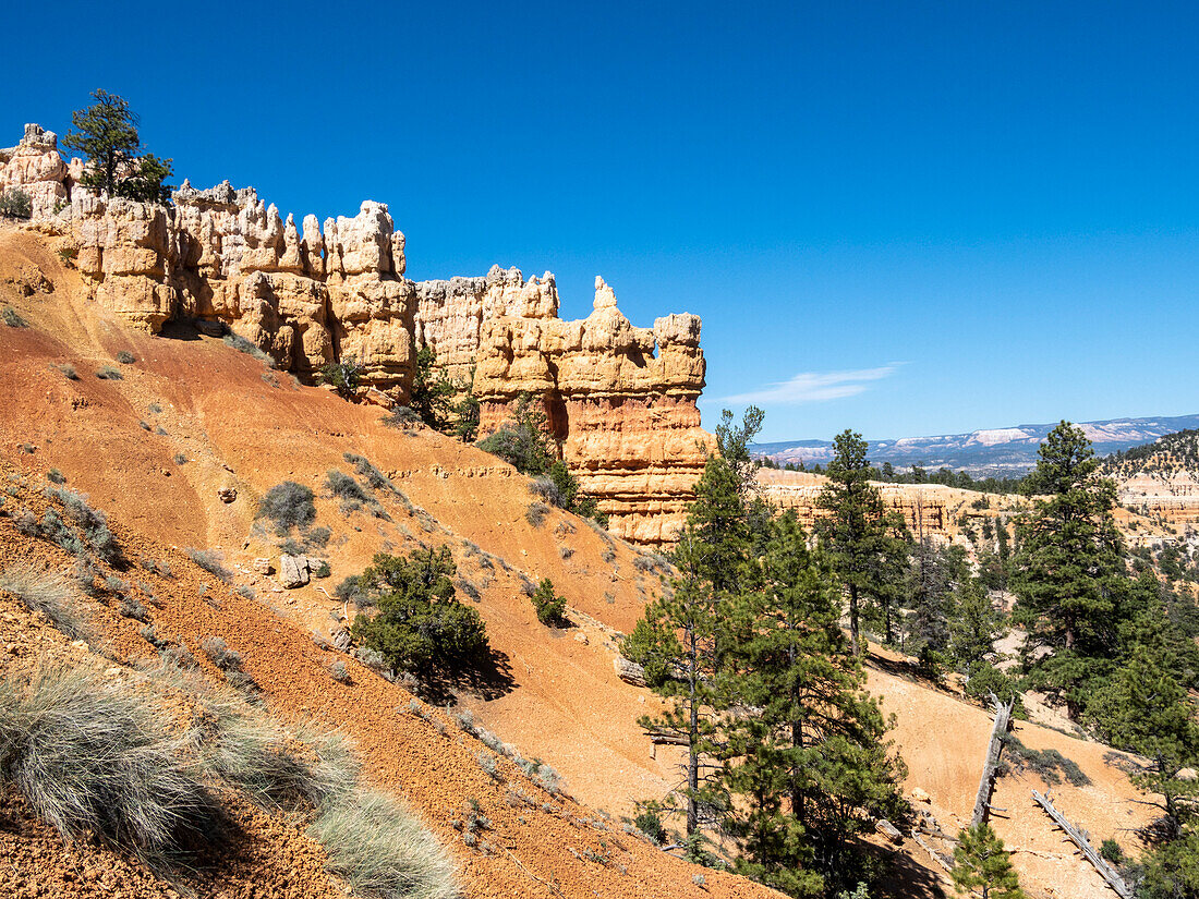 A view of the hoodoos from the Rim Trail in Bryce Canyon National Park, Utah, United States of America, North America