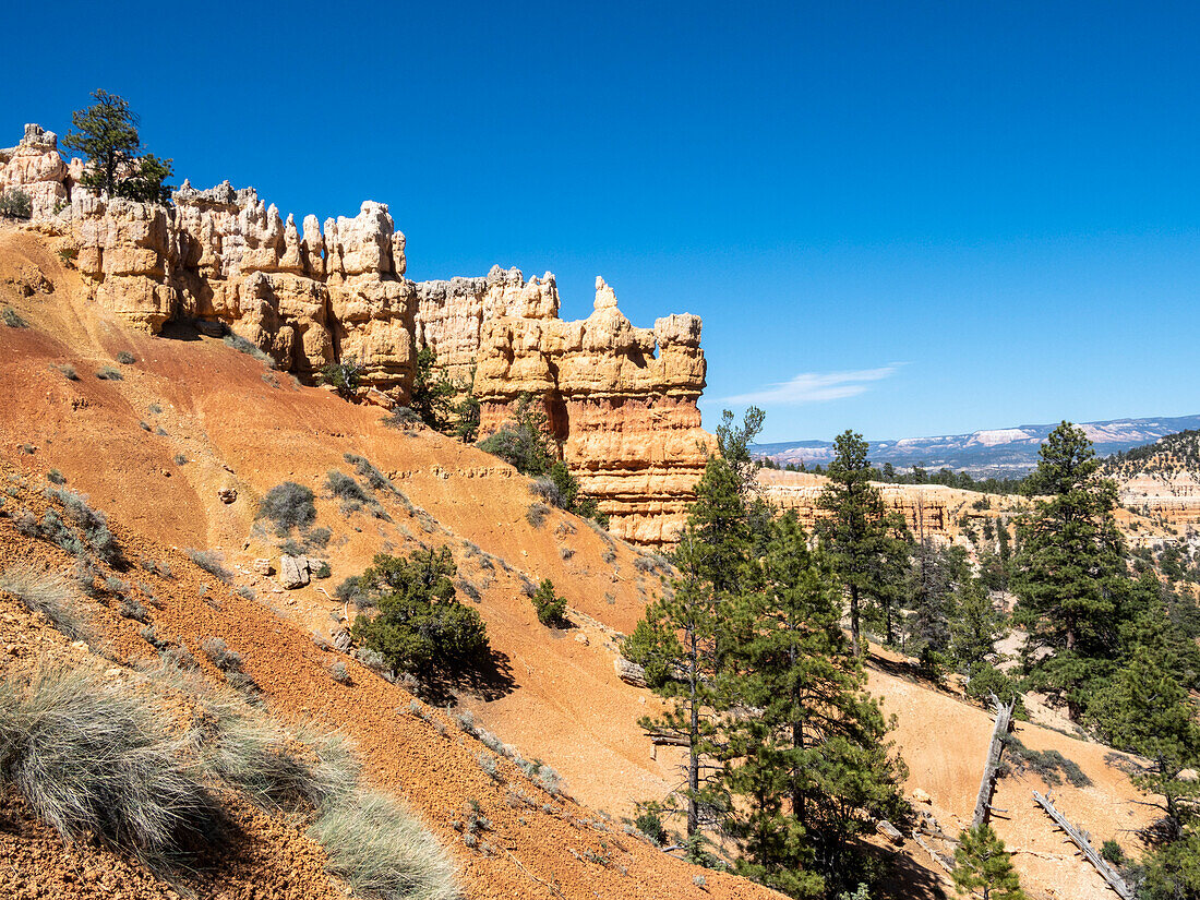 Ein Blick auf die Hoodoos vom Rim Trail im Bryce Canyon National Park, Utah, Vereinigte Staaten von Amerika, Nordamerika