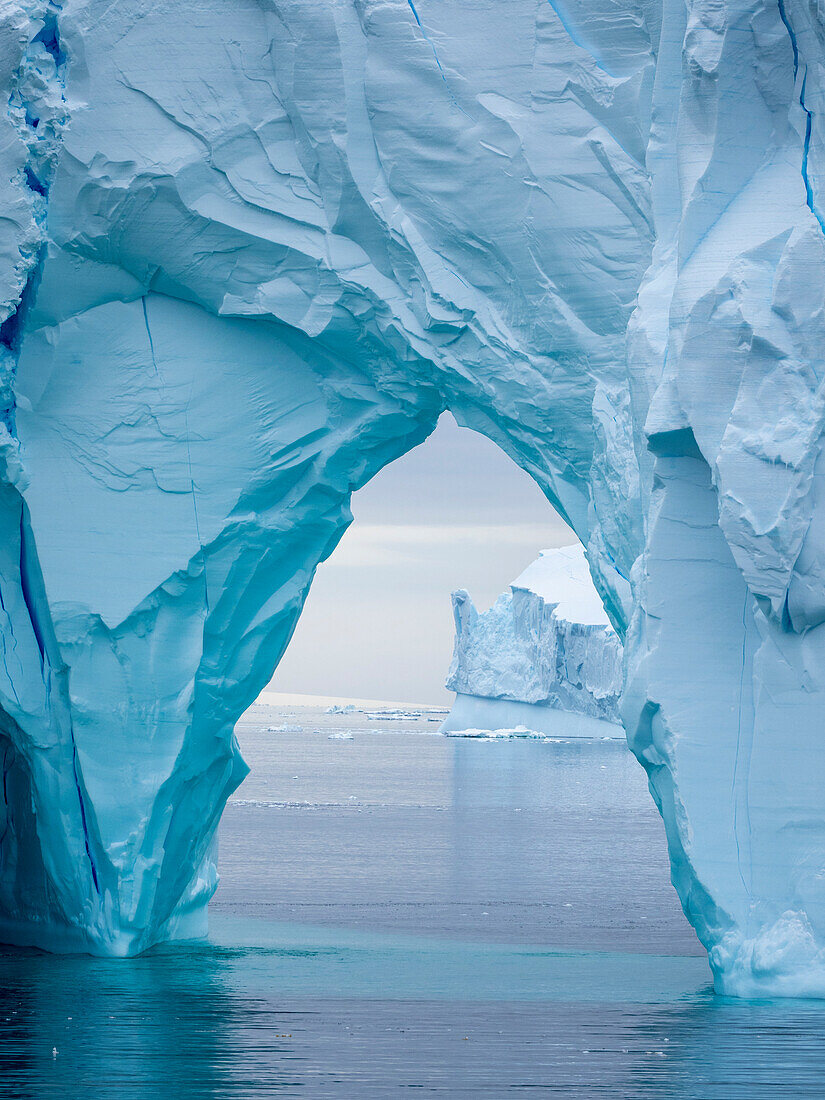 Große Eisberge schwimmen in der Bellingshausensee, Antarktis, Polarregionen
