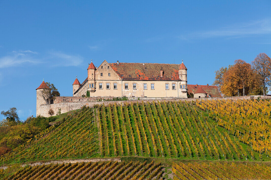 Stettenfels castle in autumn, Untergruppenbach, near Heilbronn, Baden-Wurttemberg, Germany, Europe