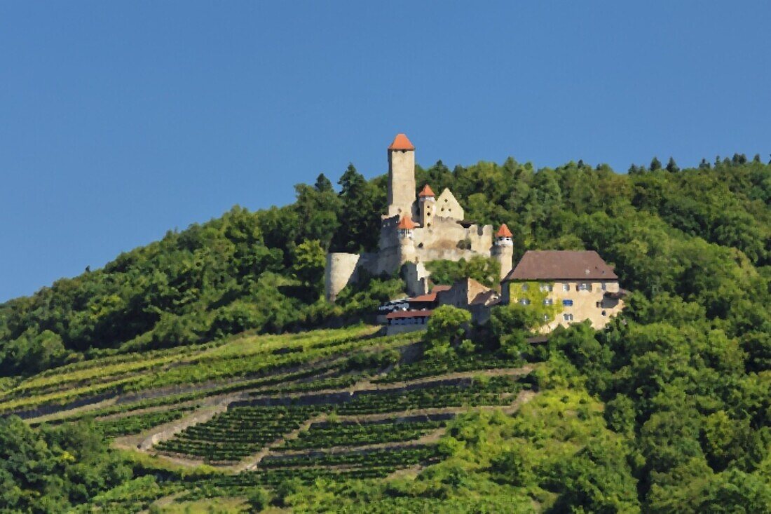 Schloss Hornberg, Neckarzimmern, Neckartal, Baden-Württemberg, Deutschland, Europa