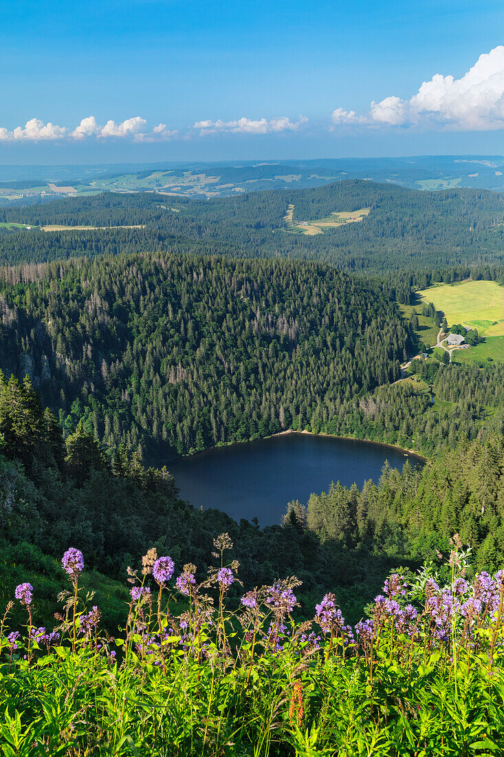 View from Seebuck peak at Feldberg Mountain on Feldsee Lake, Black Forest, Baden-Wurttemberg, Germany, Europe