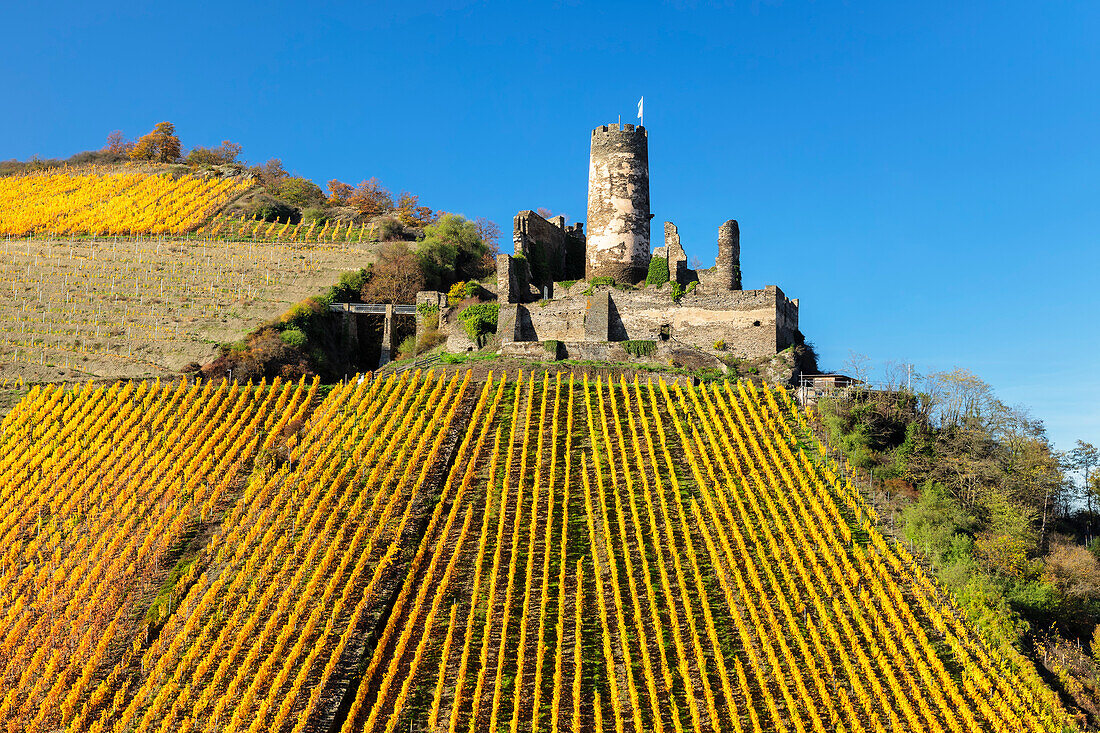 Burg Fürstenberg, Oberdiebach, Rheintal, Rheinland-Pfalz, Deutschland, Europa