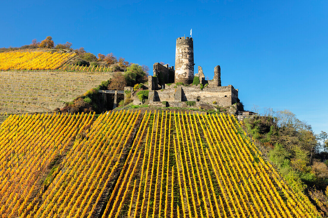 Furstenberg Castle, Oberdiebach, Rhine Valley, Rhineland-Palatinate, Germany, Europe