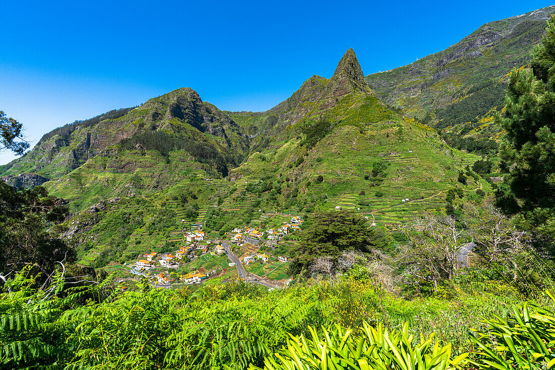 Dorf Serra de Agua in der üppigen Vegetation am Fuße der Berge, Gemeinde Ribeira Brava, Insel Madeira, Portugal, Atlantik, Europa