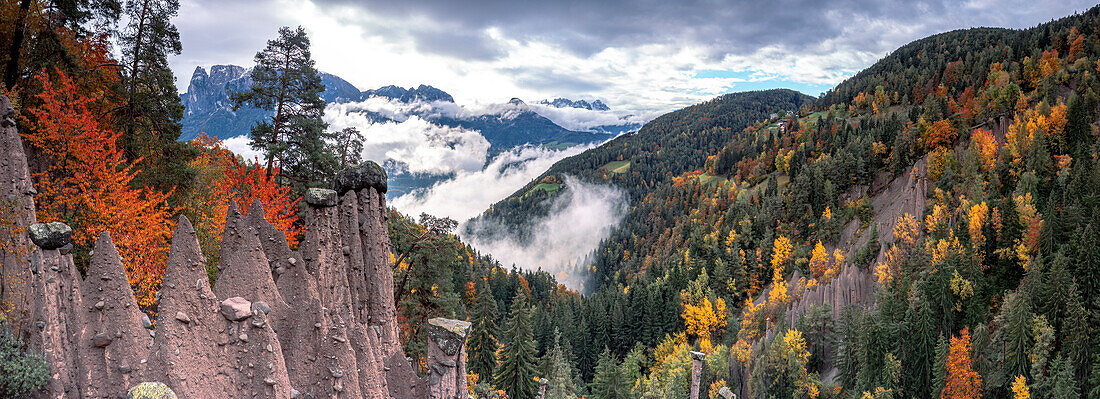 Mist over the earth pyramids and forest in autumn, Longomoso, Renon (Ritten), Bolzano, South Tyrol, Italy, Europe