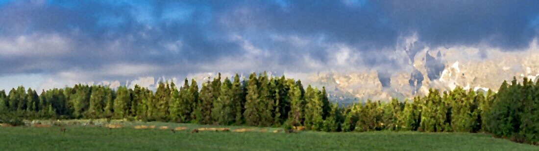 Grüne Wälder und Weiden von Malga Nemes bei Sonnenaufgang im Sommer, Sexten (Sexten), Pustertal, Sextner Dolomiten, Südtirol, Italien, Europa