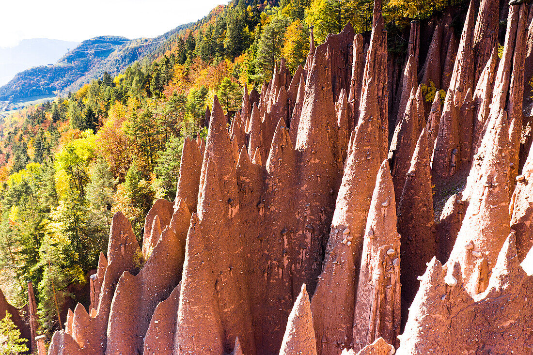 Stachelige Felsen der Erdpyramiden im Herbst, Longomoso, Renon (Ritten), Bozen, Südtirol, Italien, Europa