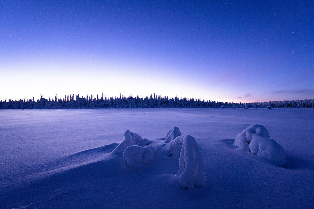 Arktische Dämmerung leuchtet über dem gefrorenen Land, das im Winter mit Schnee bedeckt ist, Lappland, Finnland, Europa