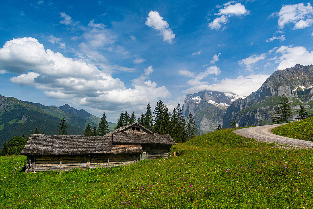 Eiger, Grindelwald, Berner Alpen, Schweiz, Europa