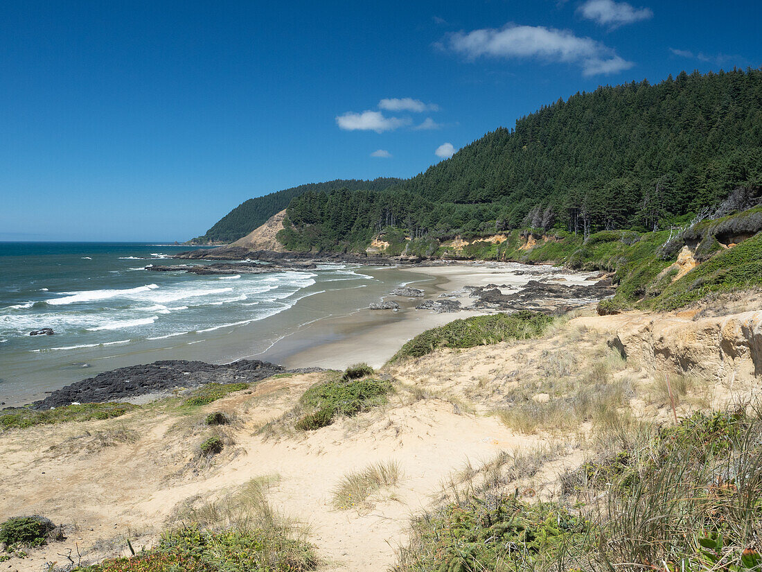 Blick vom Strawberry Hill Wayside auf der Route 101, Oregon, Vereinigte Staaten von Amerika, Nordamerika