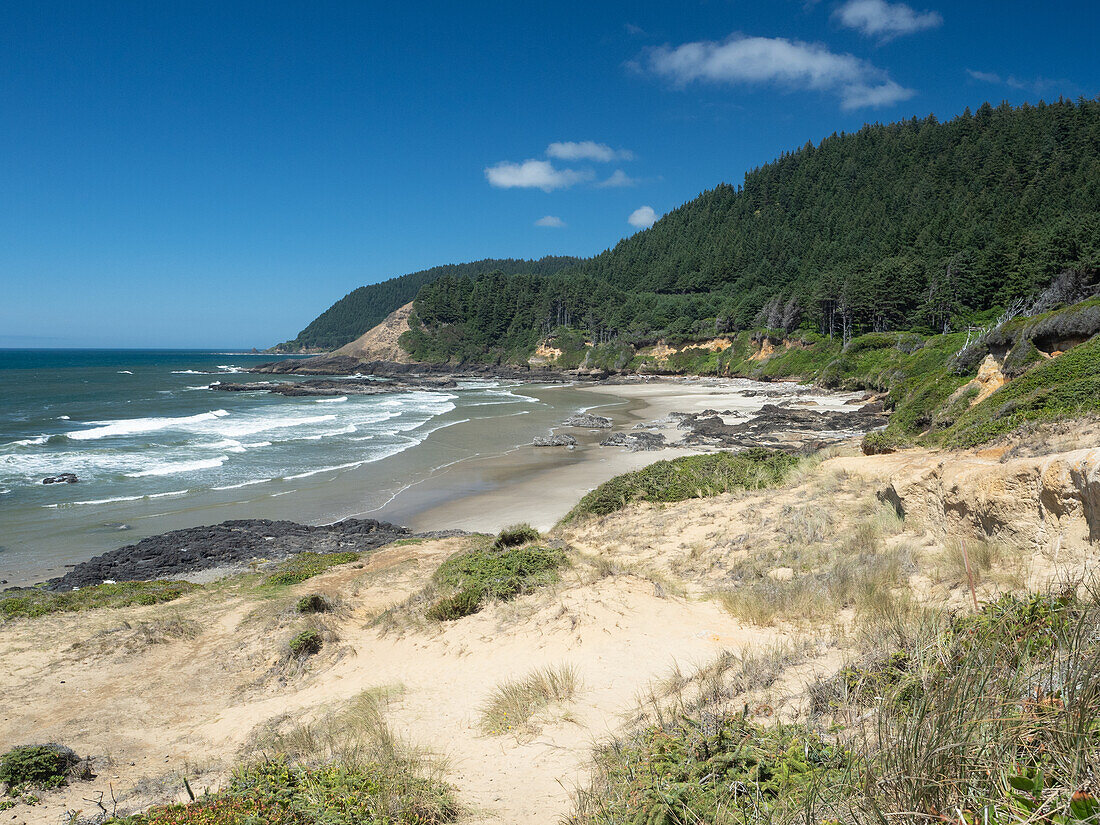 View from the Strawberry Hill Wayside on Route 101, Oregon, United States of America, North America