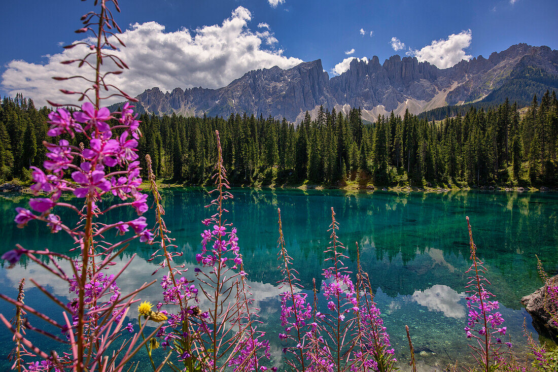 Latemar-Gebirge spiegelt sich im Karersee (Karersee) im Sommer, Südtirol, Dolomiten, Italien, Europa