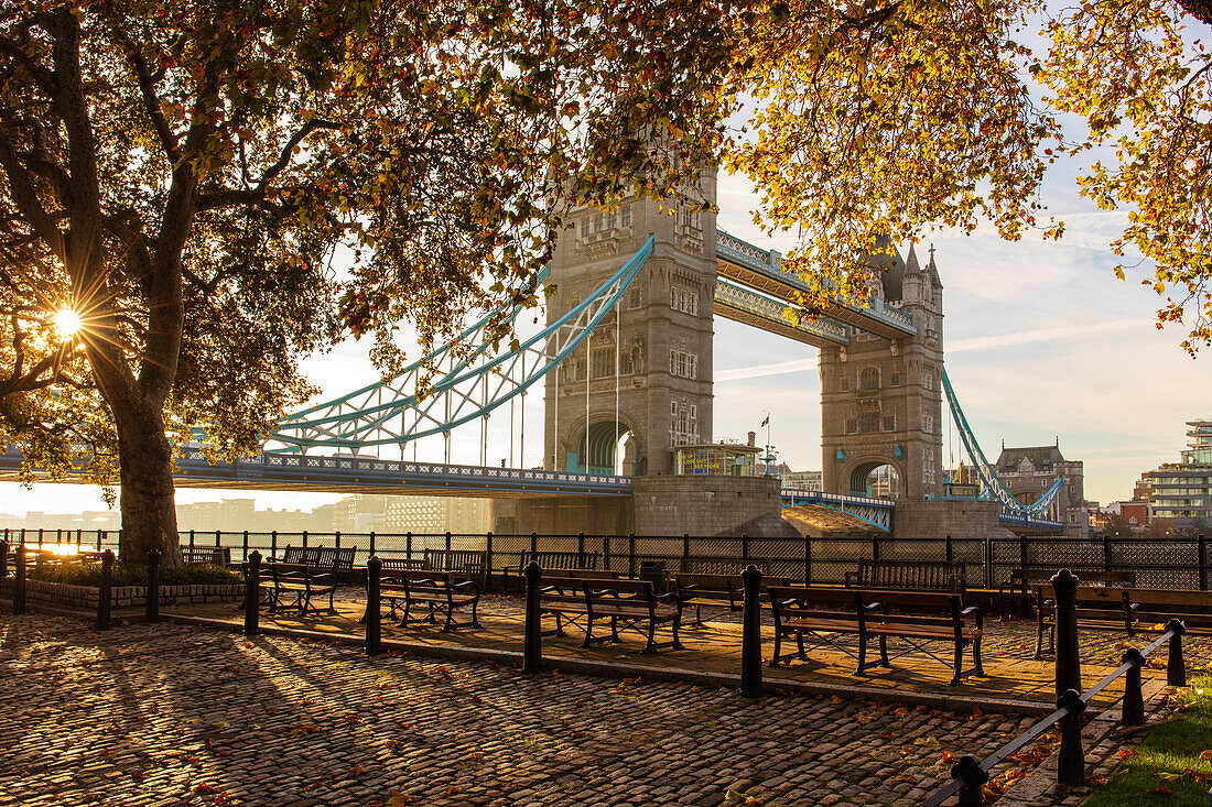 Autumn sunrise in grounds of the Tower of London, with Tower Bridge, London, England, United Kingdom, Europe
