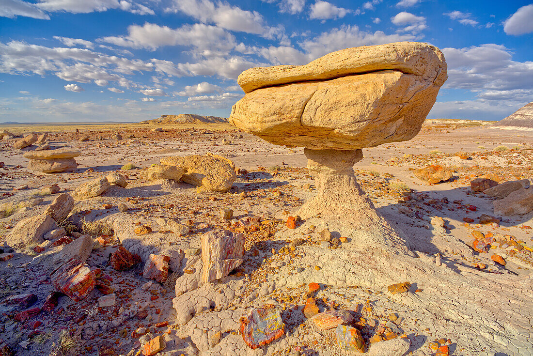 Ausgewogener Felsen, der einem Fliegenpilz ähnelt, versteinertes Holz, das um die Formation herum verstreut ist, Petrified Forest National Park, Arizona, Vereinigte Staaten von Amerika, Nordamerika