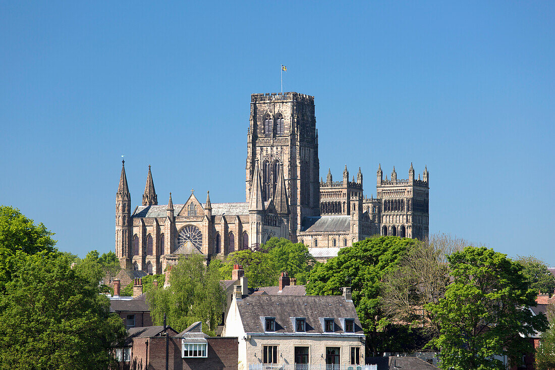 Blick über die Baumwipfel zur Kathedrale von Durham im Frühjahr, UNESCO-Weltkulturerbe, Durham, County Durham, England, Vereinigtes Königreich, Europa