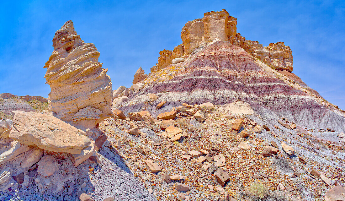 A hoodoo formation called Medusa's Child below the cliffs of Agate Plateau in Petrified Forest National Park, Arizona, United States of America, North America