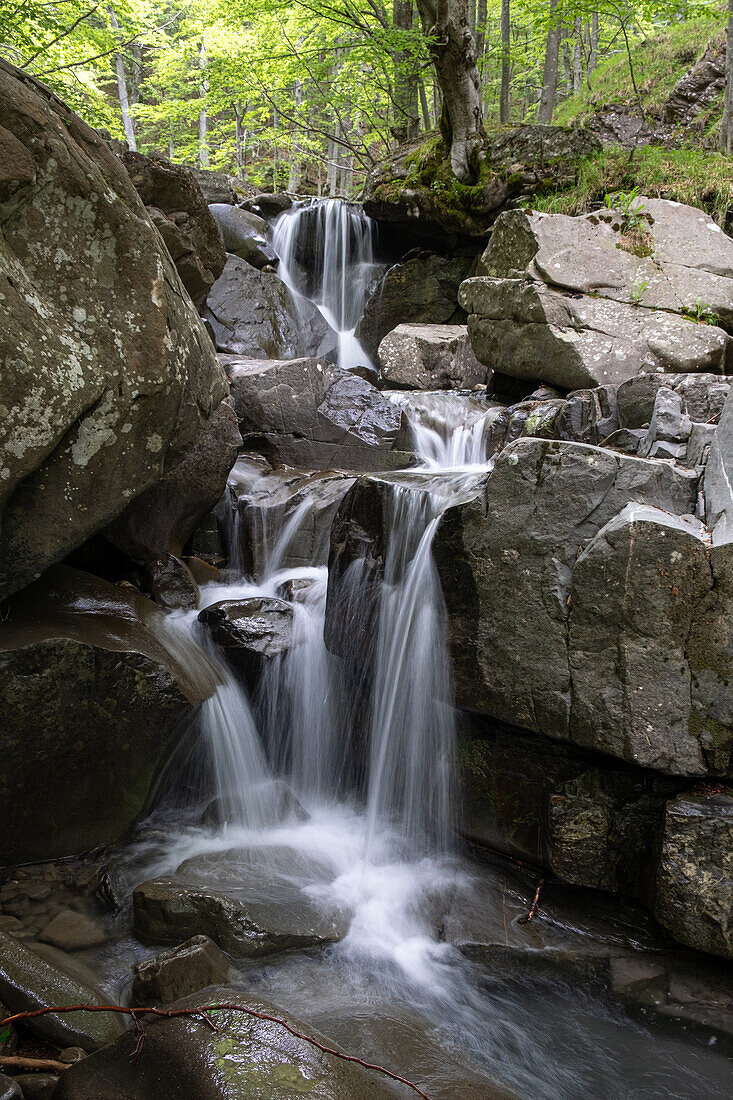 Kleiner Wasserfall zwischen Felsen im Wald, Emilia Romagna, Italien, Europa
