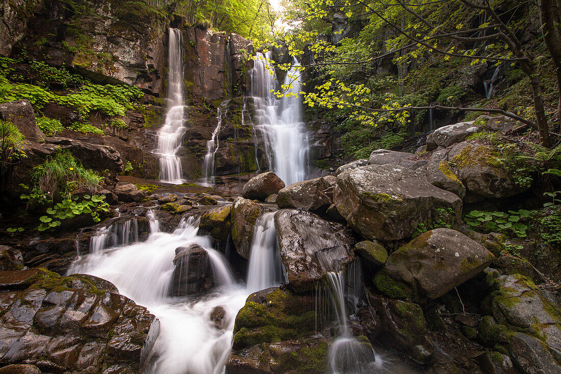 Wasserfälle der Dardagna im Wald, die zwischen Felsen fließen, Emilia Romagna, Italien, Europa