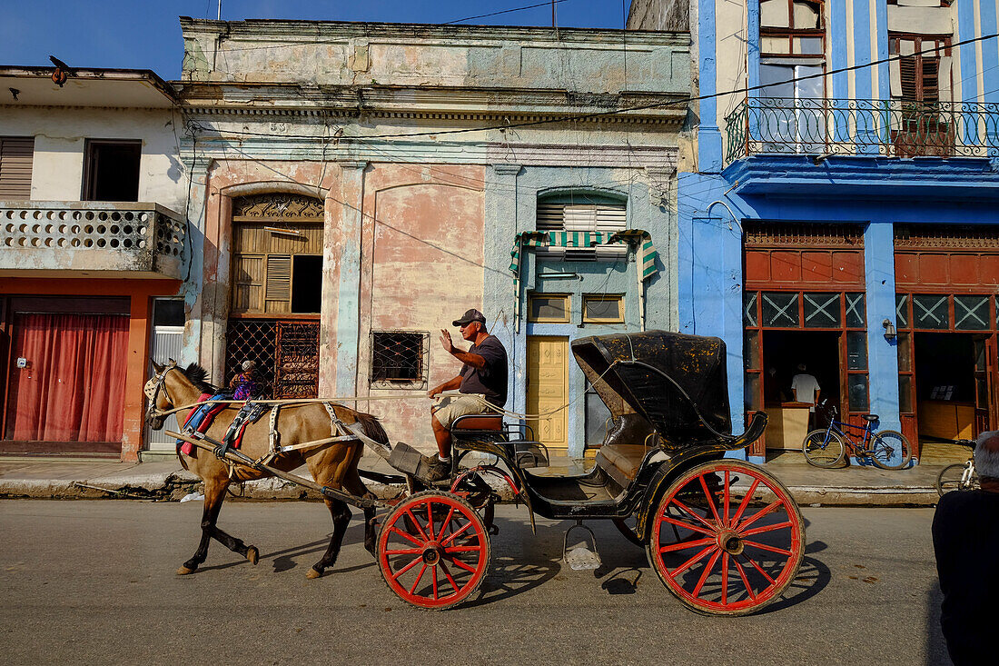 Ein Pferdekutschenfahrer winkt, als er vorbeifährt, Cardenas, Matanzas, Kuba, Westindien, Mittelamerika
