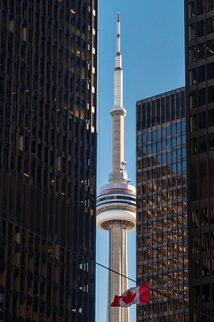 Die Wolkenkratzer CN Tower und City, Toronto, Ontario, Kanada, Nordamerika