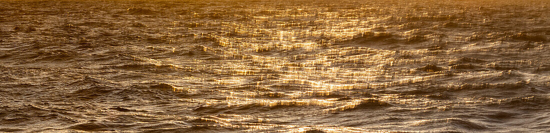 Rippled water surface reflecting golden sunlight