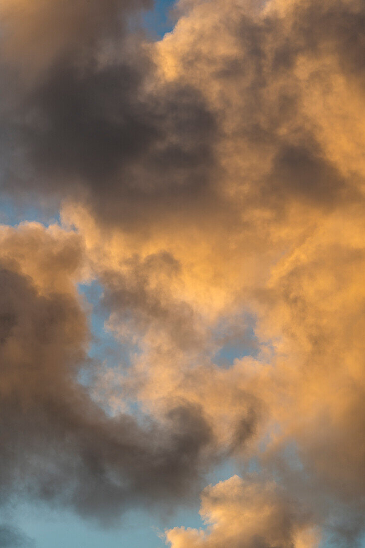 Goldene und graue Kumuluswolken am Himmel bei Sonnenuntergang