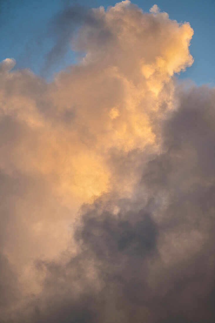 Golden Cumulus clouds on sky at sunset