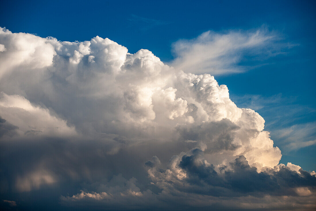Dramatische Bildung von Cumulus-Gewitterwolken gegen den blauen Himmel