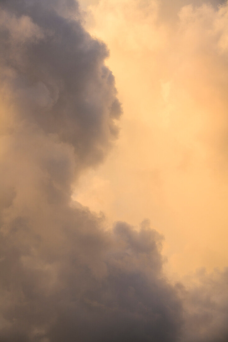 Gold and gray Cumulus clouds
