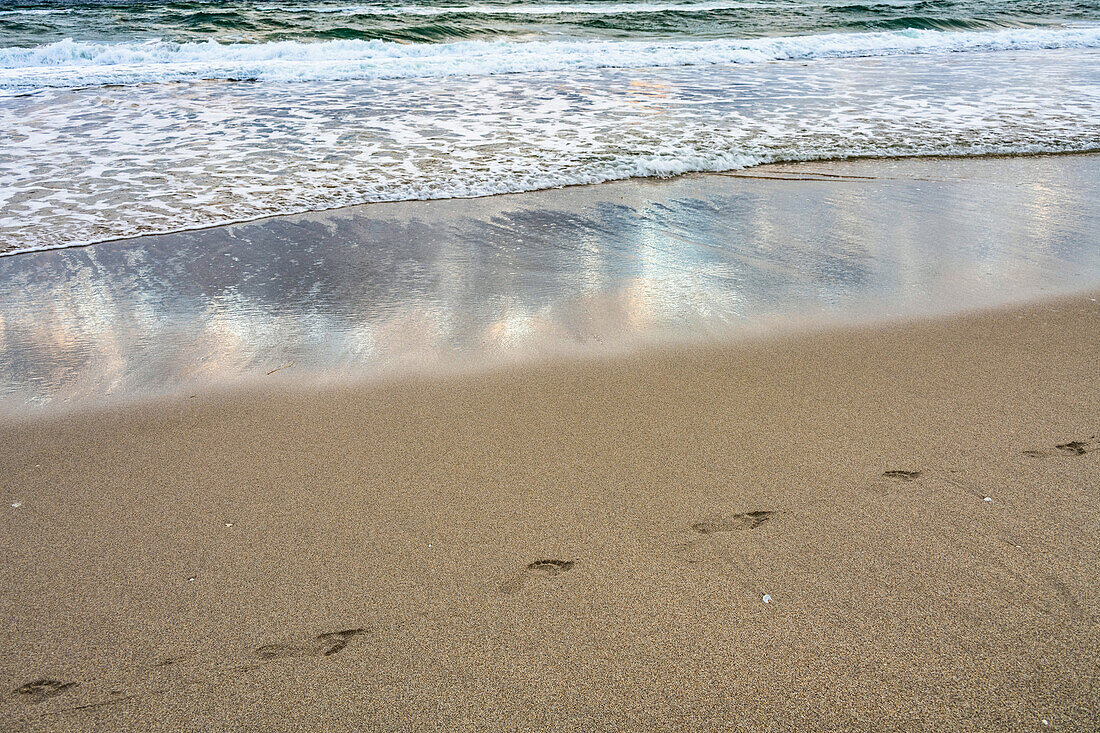 Abdrücke und Meereswelle am Sandstrand