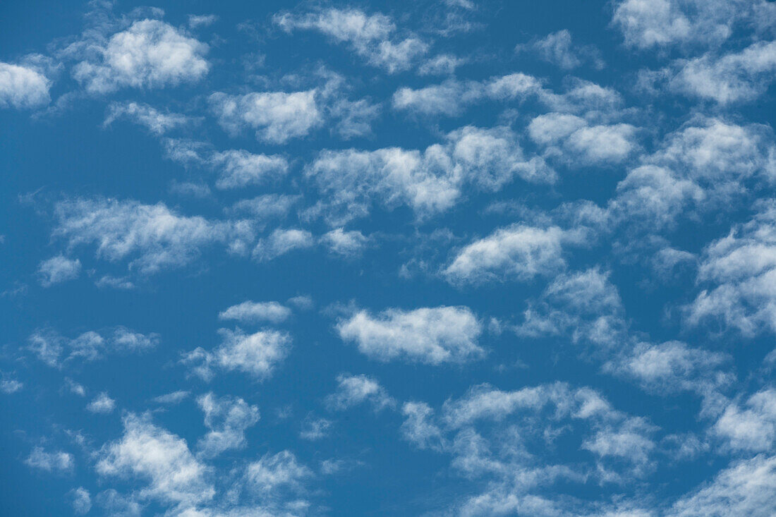 Puffy white clouds in blue sky