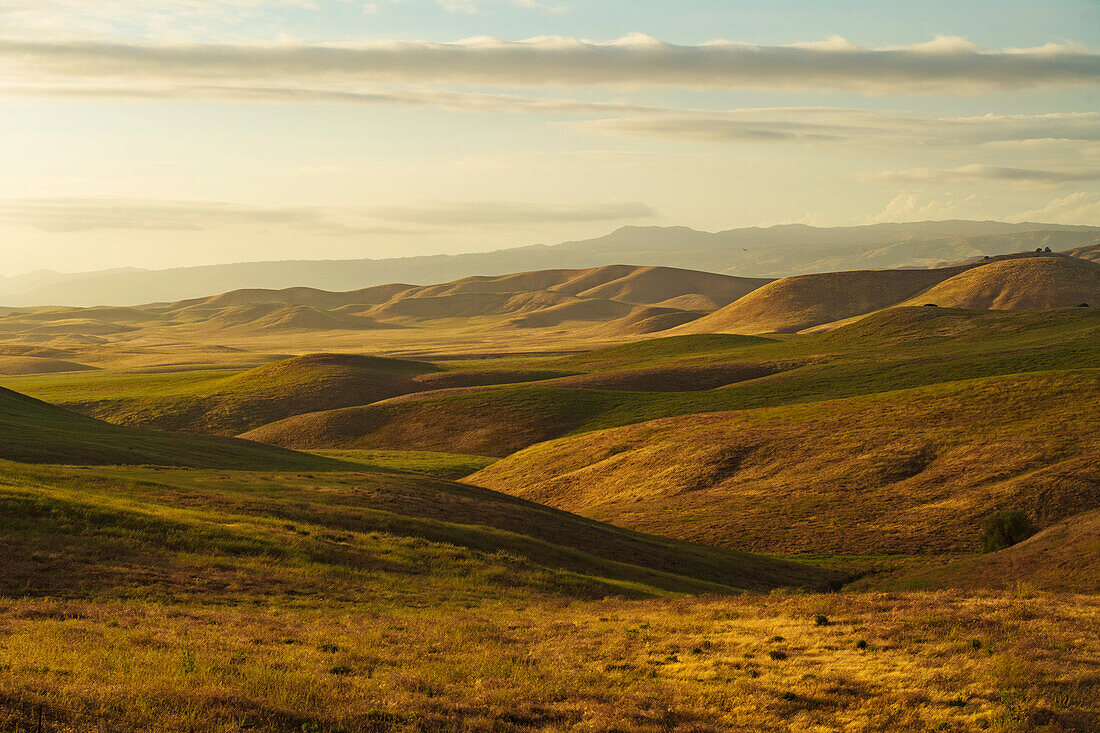 Hügelige Landschaft bei Sonnenuntergang