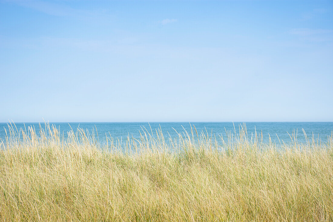 USA, Massachusetts, Cape Cod, Nantucket Island, Atlantic Ocean from dunes at Cisco Beach