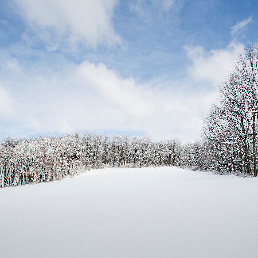 Jockey Hollow im Winter Morristown National Historical Park